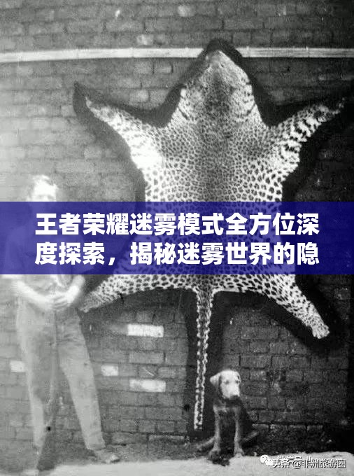 王者荣耀迷雾模式全方位深度探索，揭秘迷雾世界的隐藏制胜秘籍