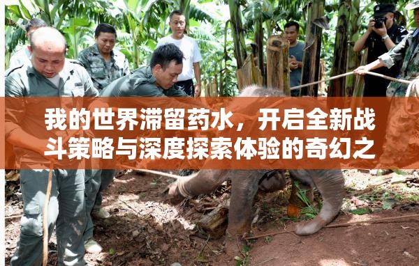 我的世界滞留药水，开启全新战斗策略与深度探索体验的奇幻之旅