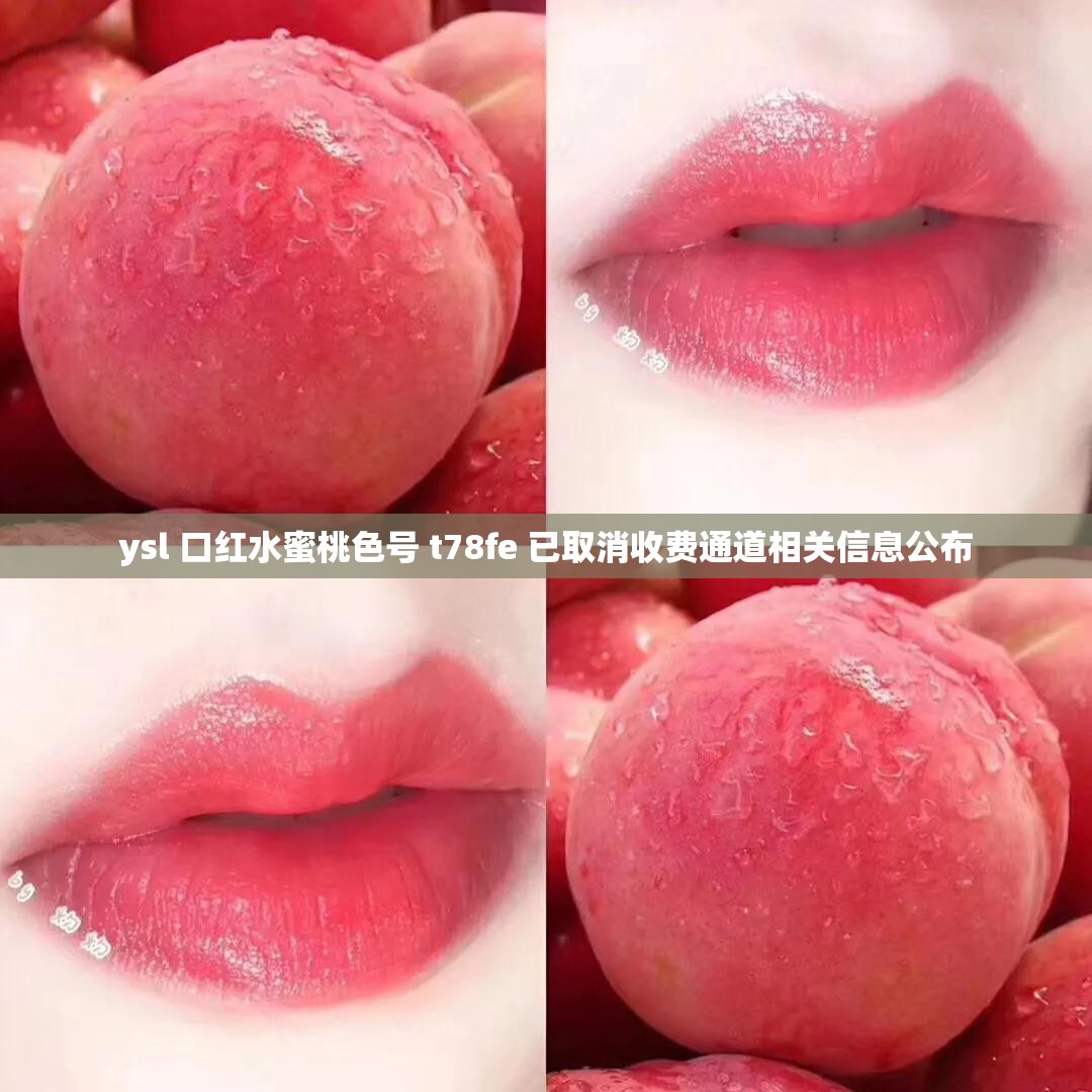 ysl 口红水蜜桃色号 t78fe 已取消收费通道相关信息公布