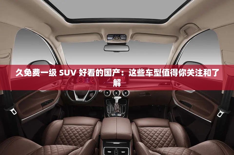 久免费一级 SUV 好看的国产：这些车型值得你关注和了解