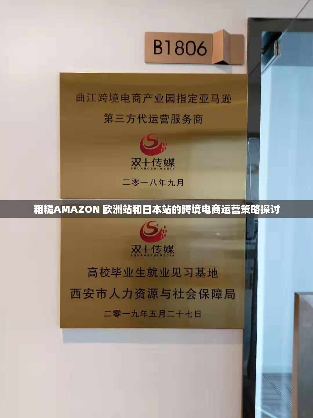 粗糙AMAZON 欧洲站和日本站的跨境电商运营策略探讨