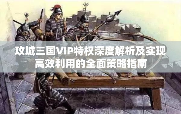 攻城三国VIP特权深度解析及实现高效利用的全面策略指南