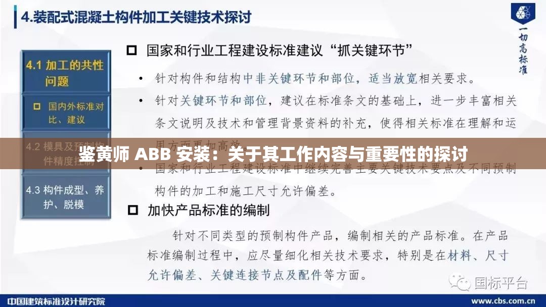 鉴黄师 ABB 安装：关于其工作内容与重要性的探讨