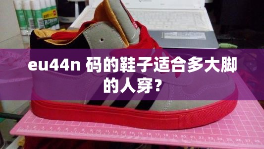 eu44n 码的鞋子适合多大脚的人穿？