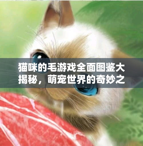 猫咪的毛游戏全面图鉴大揭秘，萌宠世界的奇妙之旅等你深入探索