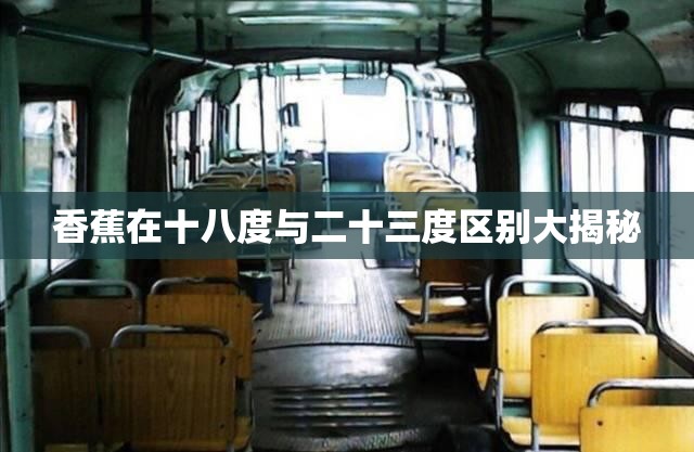 香蕉在十八度与二十三度区别大揭秘