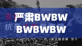 严肃BWBWBWBWBW 毛黑：引发深度思考的现象探讨