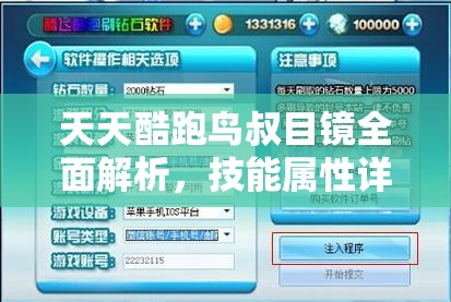 天天酷跑鸟叔目镜全面解析，技能属性详解、资源管理重要性及高效实战策略