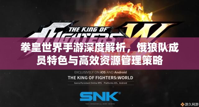 拳皇世界手游深度解析，饿狼队成员特色与高效资源管理策略