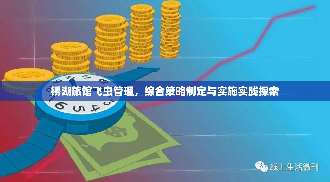 锈湖旅馆飞虫管理，综合策略制定与实施实践探索