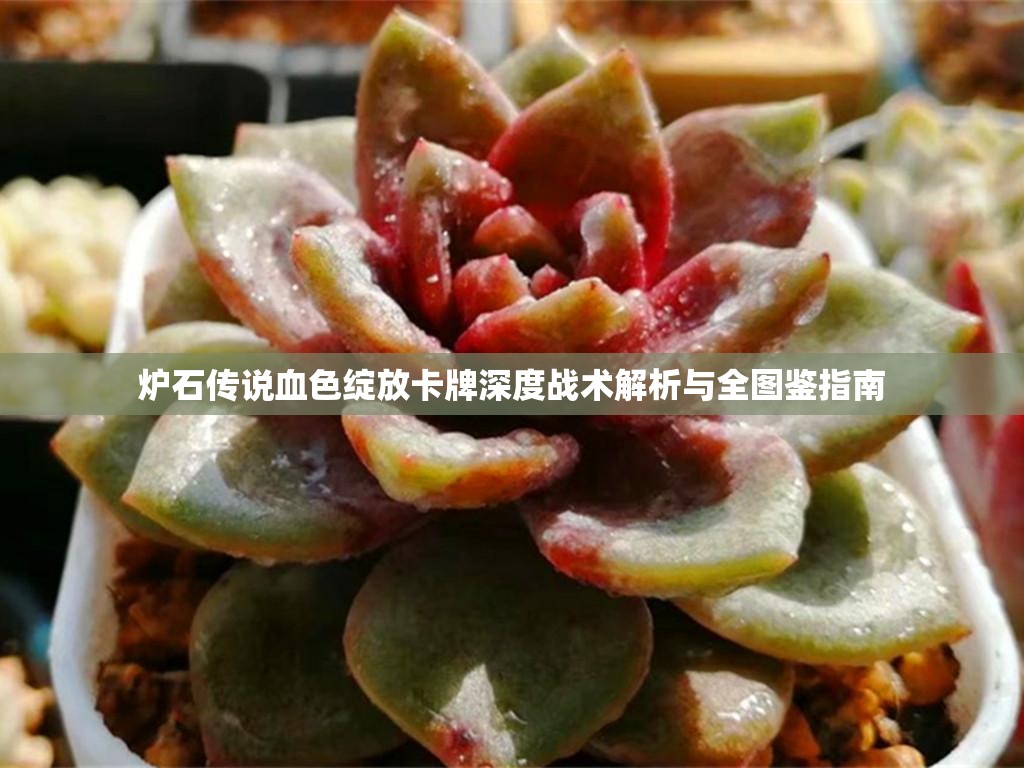 炉石传说血色绽放卡牌深度战术解析与全图鉴指南