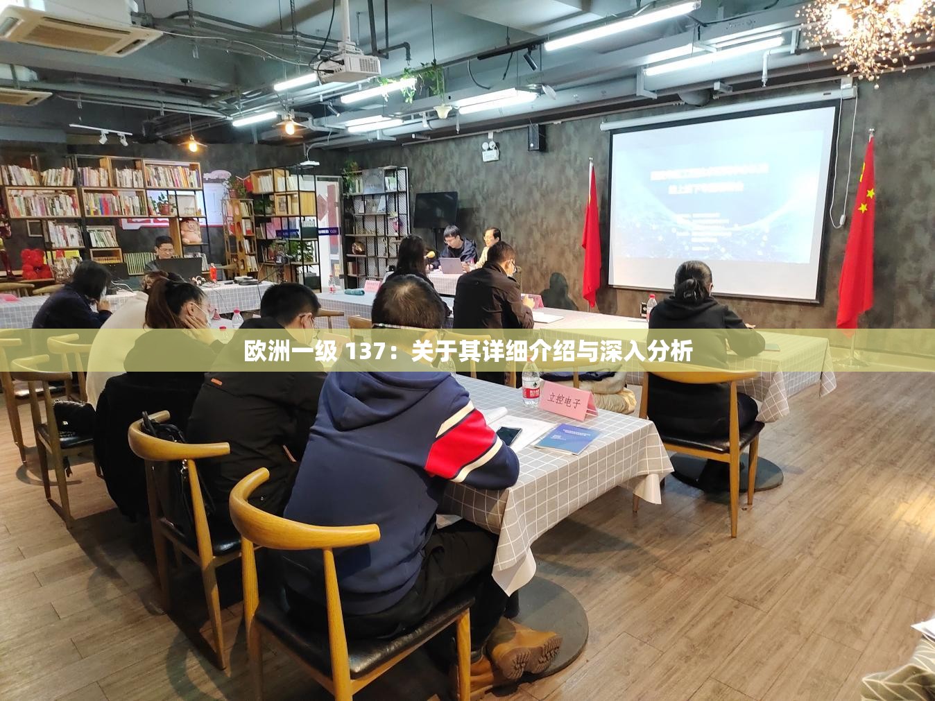 欧洲一级 137：关于其详细介绍与深入分析