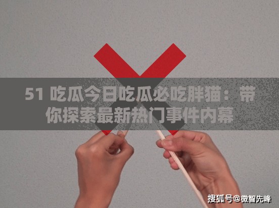 51 吃瓜今日吃瓜必吃胖猫：带你探索最新热门事件内幕