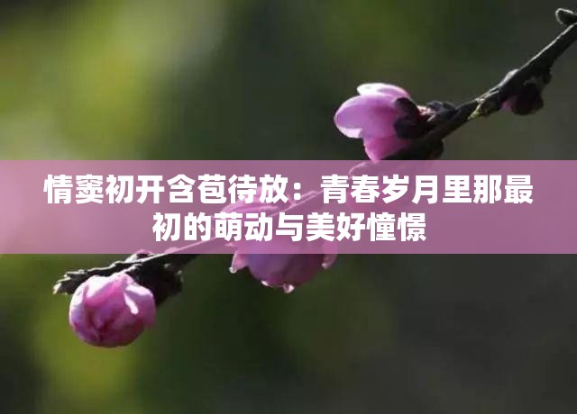 情窦初开含苞待放：青春岁月里那最初的萌动与美好憧憬