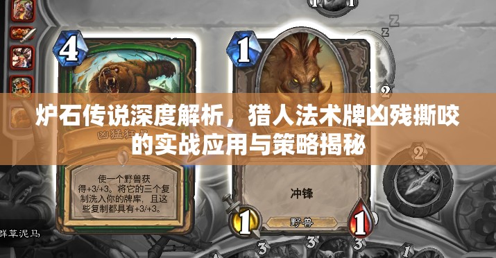 炉石传说深度解析，猎人法术牌凶残撕咬的实战应用与策略揭秘