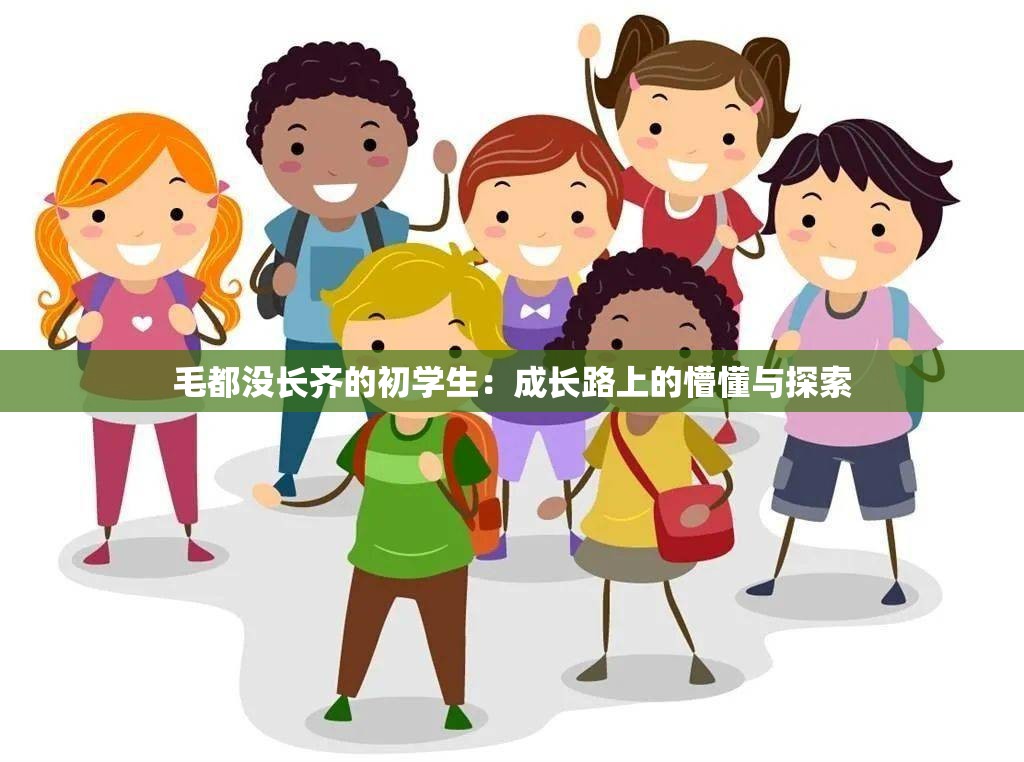 毛都没长齐的初学生：成长路上的懵懂与探索