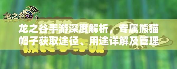 龙之谷手游深度解析，专属熊猫帽子获取途径、用途详解及管理策略