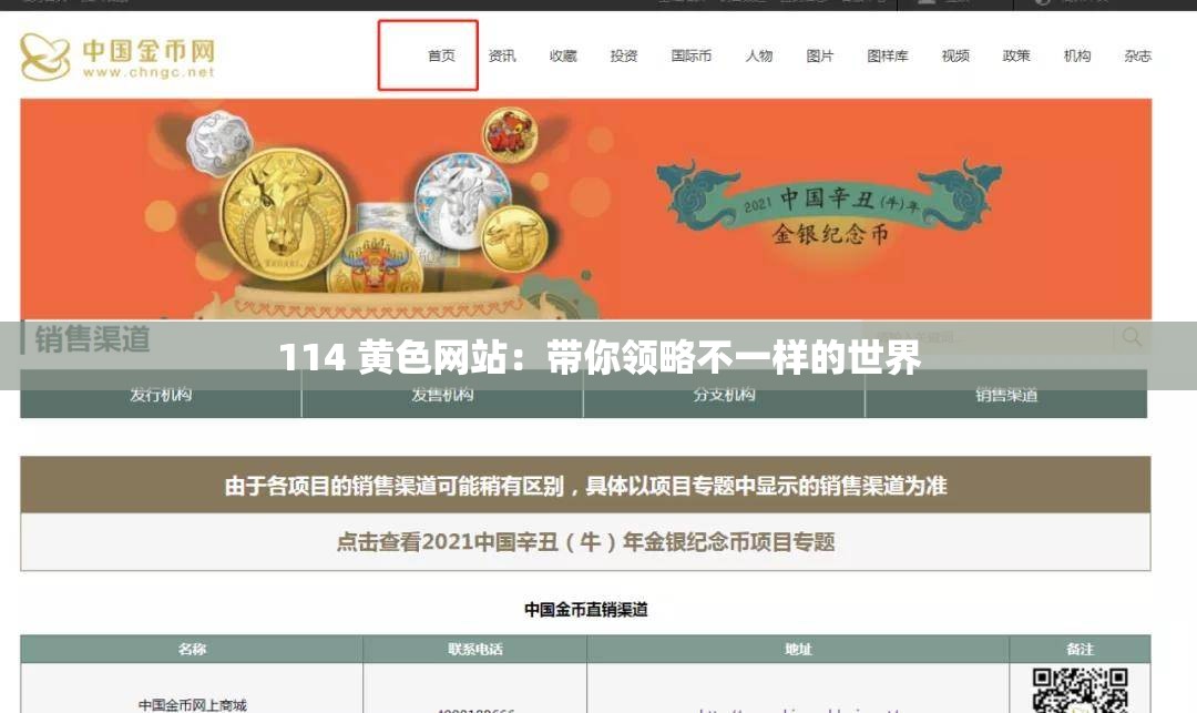 114 黄色网站：带你领略不一样的世界