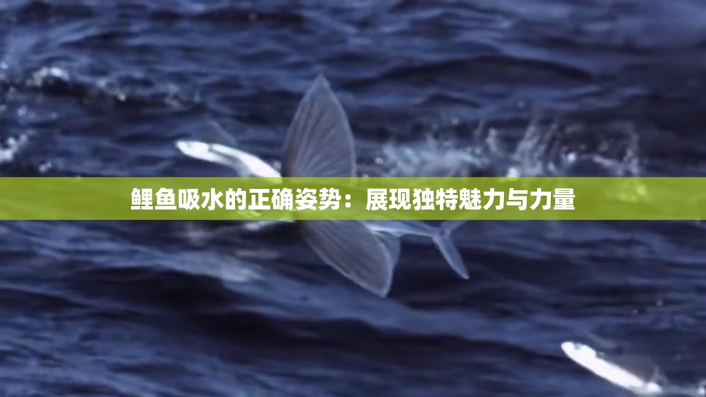 鲤鱼吸水的正确姿势：展现独特魅力与力量
