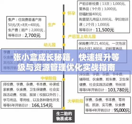 张小盒成长秘籍，快速提升等级与资源管理优化实战指南
