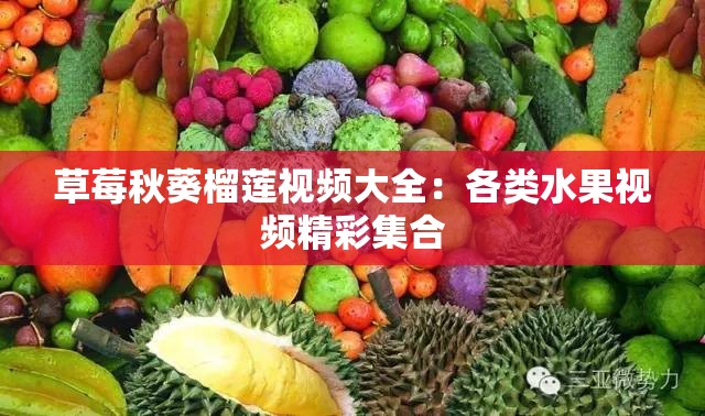 草莓秋葵榴莲视频大全：各类水果视频精彩集合