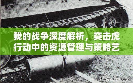 我的战争深度解析，突击虎行动中的资源管理与策略艺术