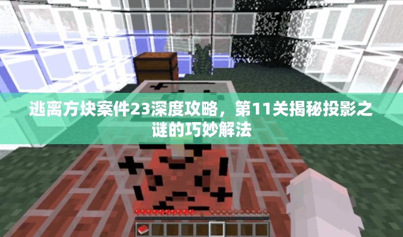 逃离方块案件23深度攻略，第11关揭秘投影之谜的巧妙解法