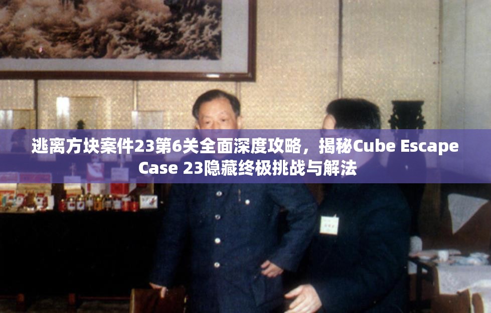 逃离方块案件23第6关全面深度攻略，揭秘Cube Escape Case 23隐藏终极挑战与解法
