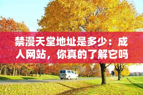 禁漫天堂地址是多少：成人网站，你真的了解它吗？