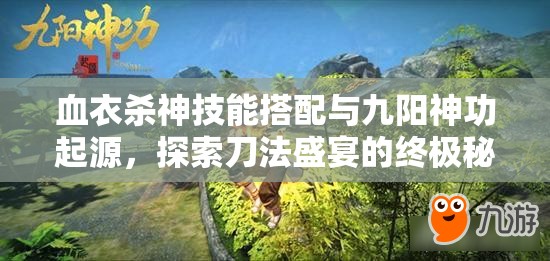 血衣杀神技能搭配与九阳神功起源，探索刀法盛宴的终极秘籍
