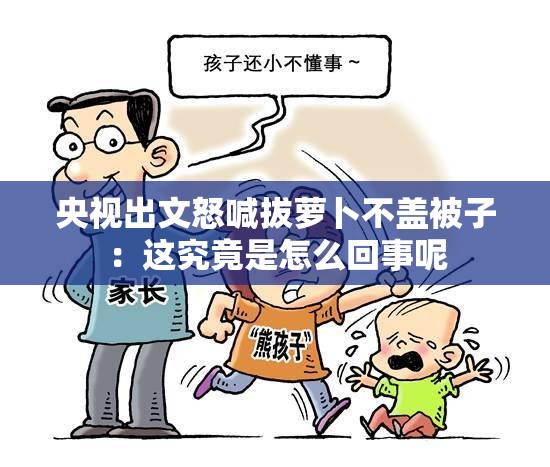 央视出文怒喊拔萝卜不盖被子：这究竟是怎么回事呢