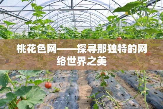 桃花色网——探寻那独特的网络世界之美