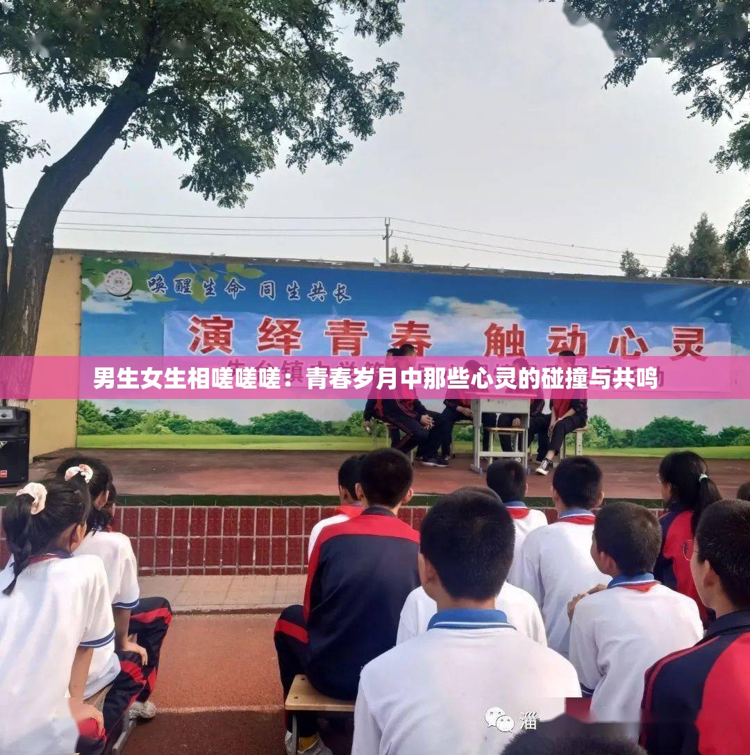 男生女生相嗟嗟嗟：青春岁月中那些心灵的碰撞与共鸣