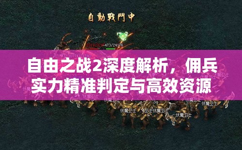 自由之战2深度解析，佣兵实力精准判定与高效资源管理艺术