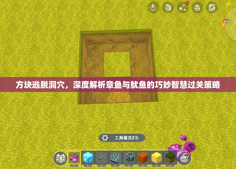 方块逃脱洞穴，深度解析章鱼与鱿鱼的巧妙智慧过关策略