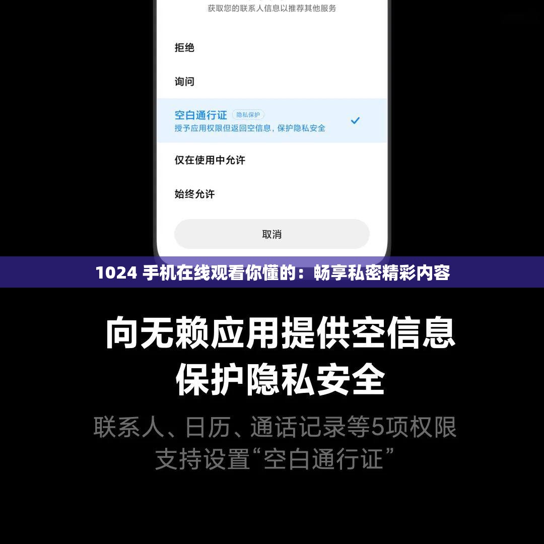1024 手机在线观看你懂的：畅享私密精彩内容