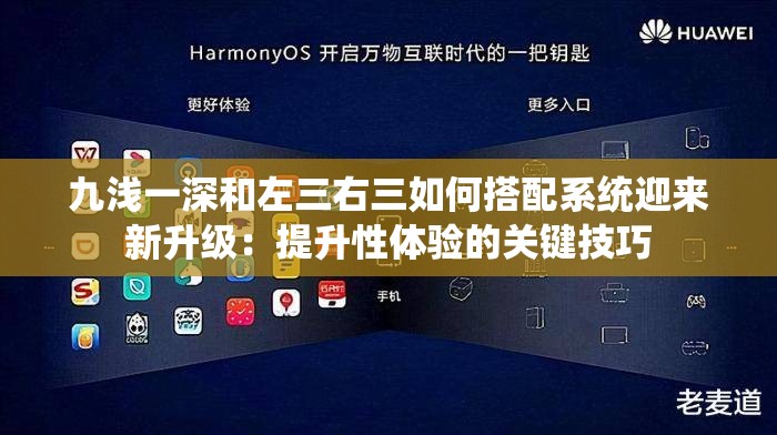 九浅一深和左三右三如何搭配系统迎来新升级：提升性体验的关键技巧