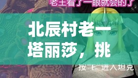 北辰村老一塔丽莎，挑战与征服的交响曲，书写传奇篇章