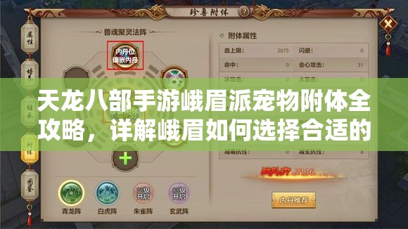 天龙八部手游峨眉派宠物附体全攻略，详解峨眉如何选择合适的附体宝宝