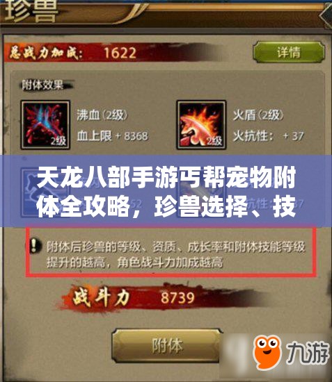 天龙八部手游丐帮宠物附体全攻略，珍兽选择、技能搭配与资源管理策略