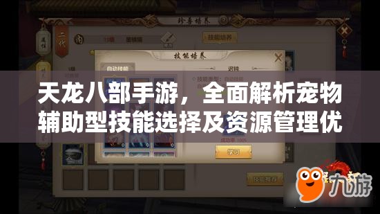 天龙八部手游，全面解析宠物辅助型技能选择及资源管理优化策略
