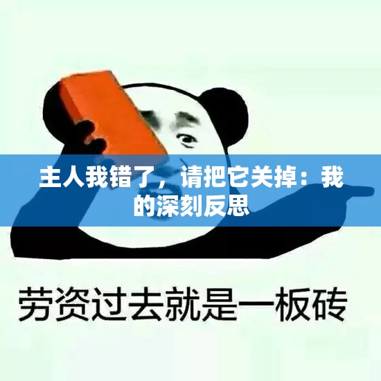 主人我错了，请把它关掉：我的深刻反思