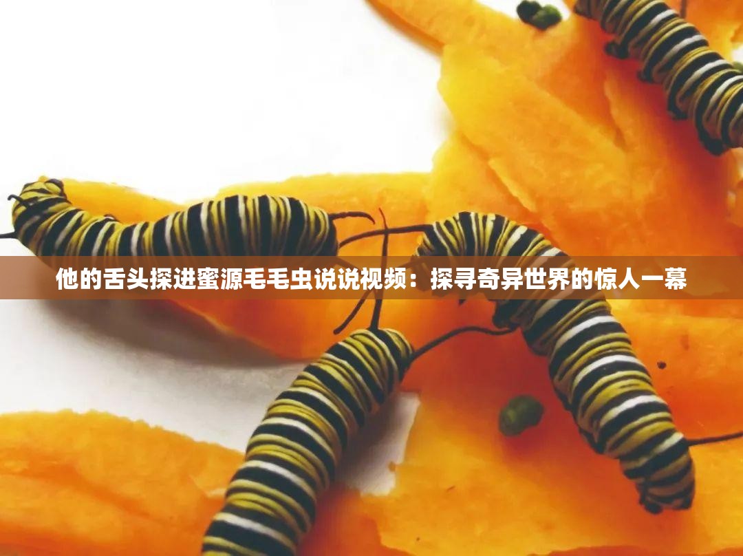 他的舌头探进蜜源毛毛虫说说视频：探寻奇异世界的惊人一幕