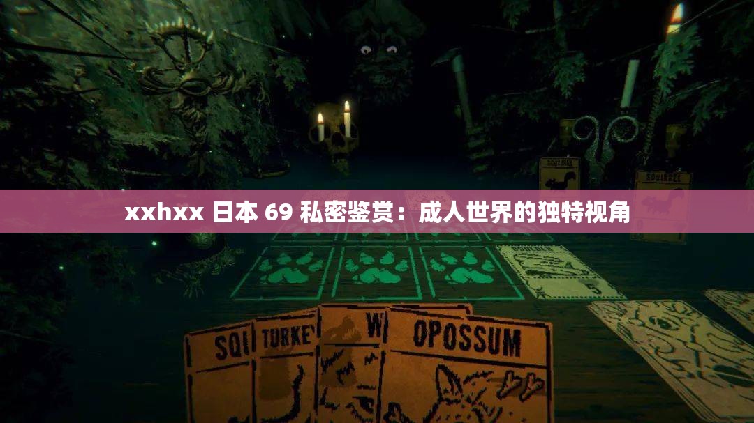xxhxx 日本 69 私密鉴赏：成人世界的独特视角
