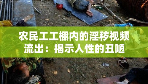 农民工工棚内的淫秽视频流出：揭示人性的丑陋