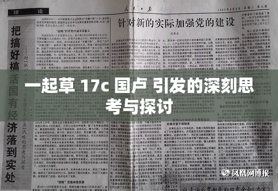 一起草 17c 国卢 引发的深刻思考与探讨