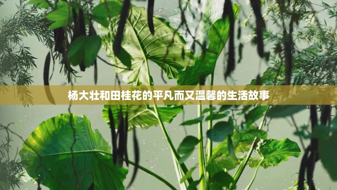 杨大壮和田桂花的平凡而又温馨的生活故事