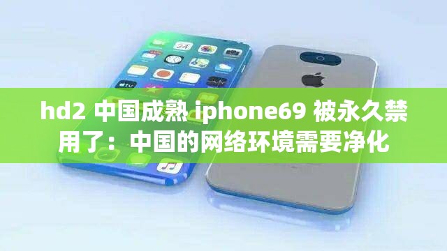 hd2 中国成熟 iphone69 被永久禁用了：中国的网络环境需要净化