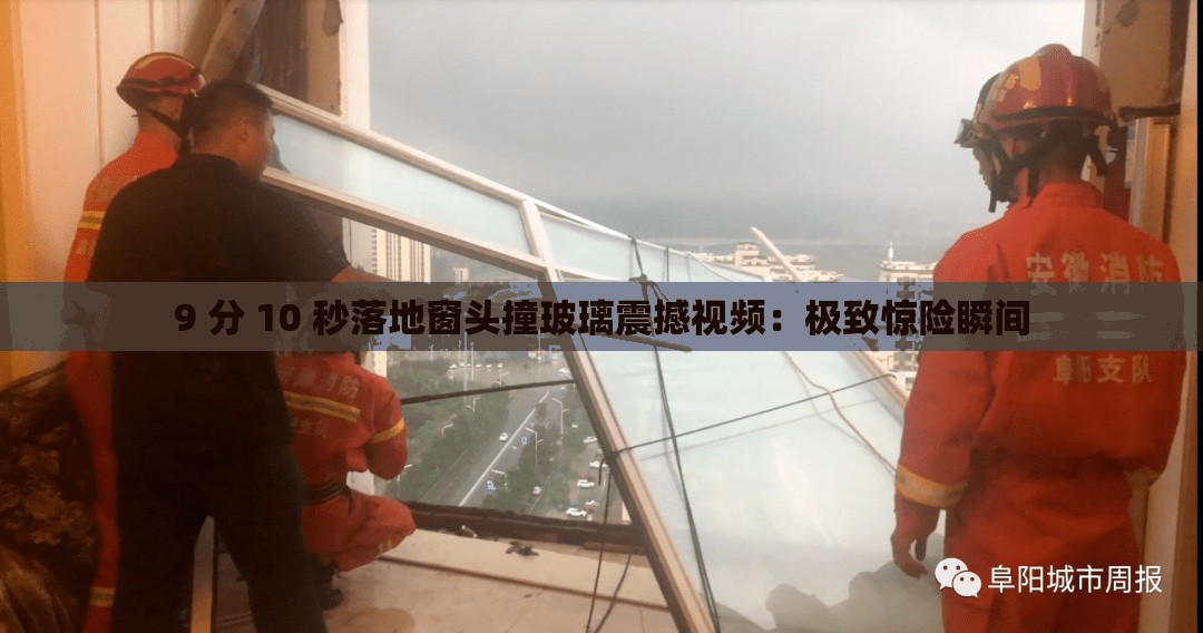 9 分 10 秒落地窗头撞玻璃震撼视频：极致惊险瞬间