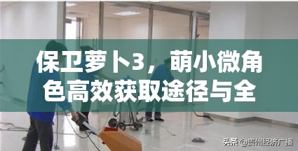 保卫萝卜3，萌小微角色高效获取途径与全面资源管理策略解析